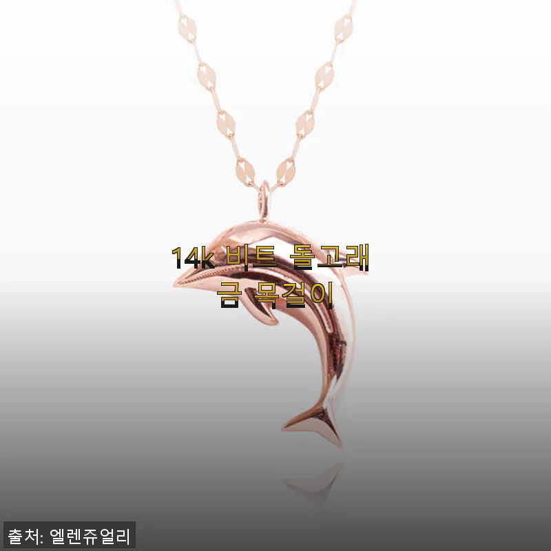 14k 비트 돌고래 금 목걸이 사용후기 – 세련된 디자인과 착용감이 돋보이는 데일리 쥬얼리