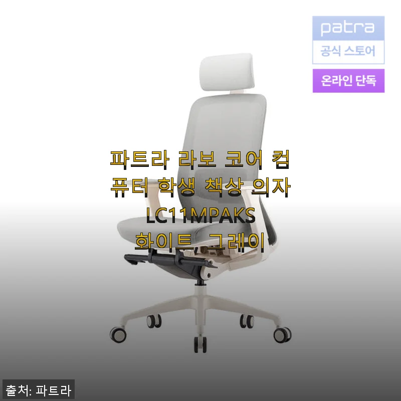 파트라 라보 코어 컴퓨터 학생 책상 의자 LC11MPAKS 사용 후기