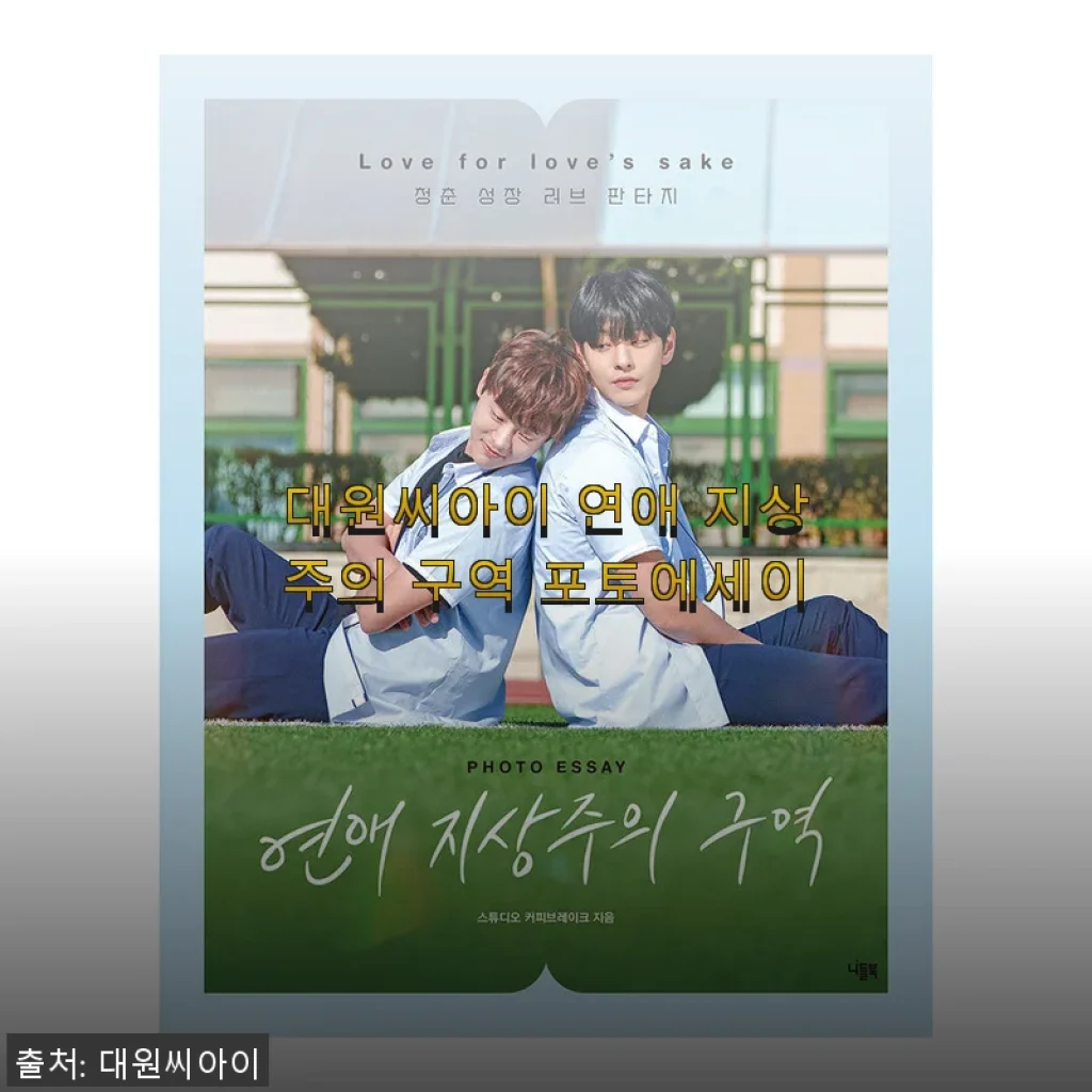 대원씨아이 연애 지상주의 구역 포토에세이 사용후기
