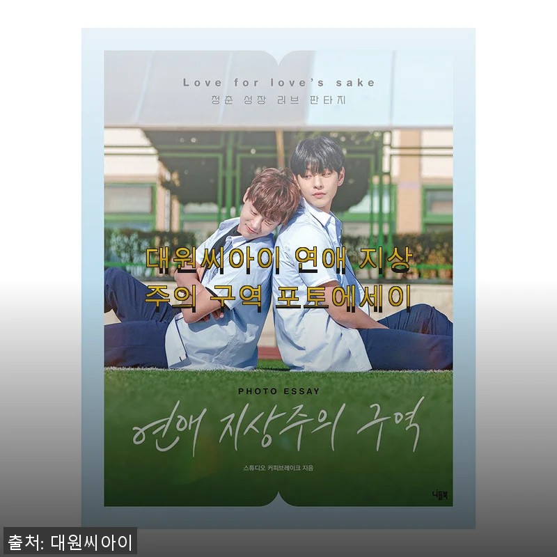 대원씨아이 연애 지상주의 구역 포토에세이 사용후기