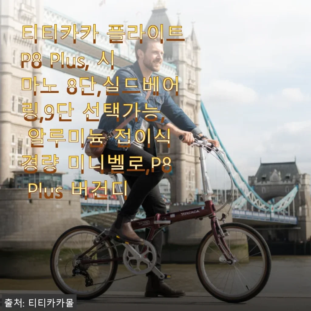 티티카카 플라이트 P8 Plus 버건디, 직접 사용해본 미니벨로 후기