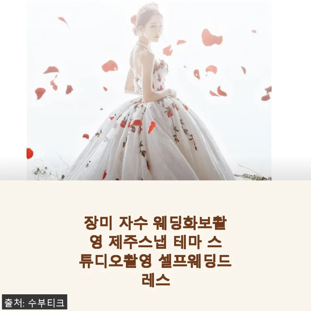 장미 자수 웨딩화보촬영 제주스냅 테마 스튜디오촬영 셀프웨딩드레스 사용후기