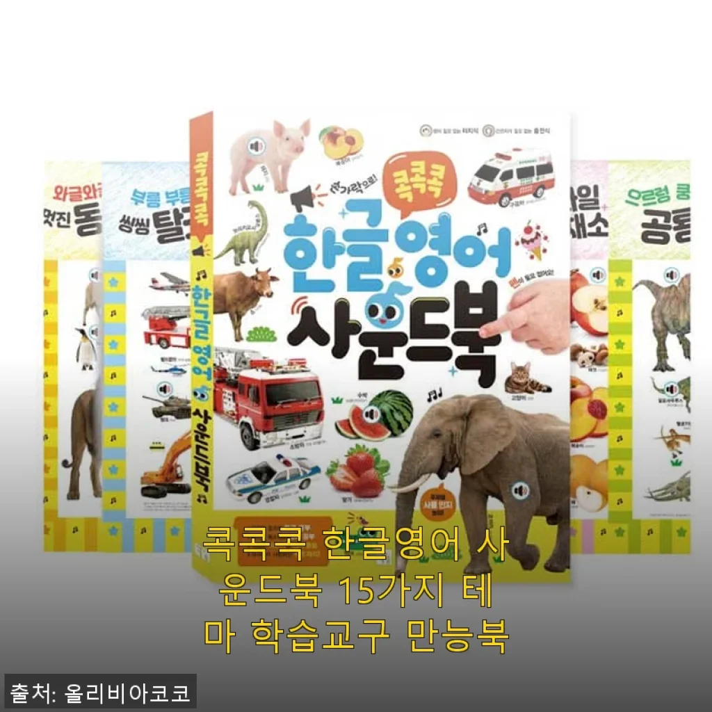 콕콕콕 한글영어 사운드북 15가지 테마 학습교구 만능북 사용후기