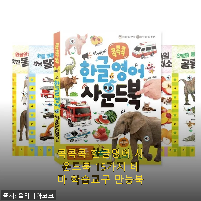 콕콕콕 한글영어 사운드북 15가지 테마 학습교구 만능북 사용후기