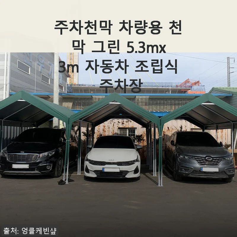 주차천막 차량용 천막 그린 5.3mx3m 사용후기와 실제 경험