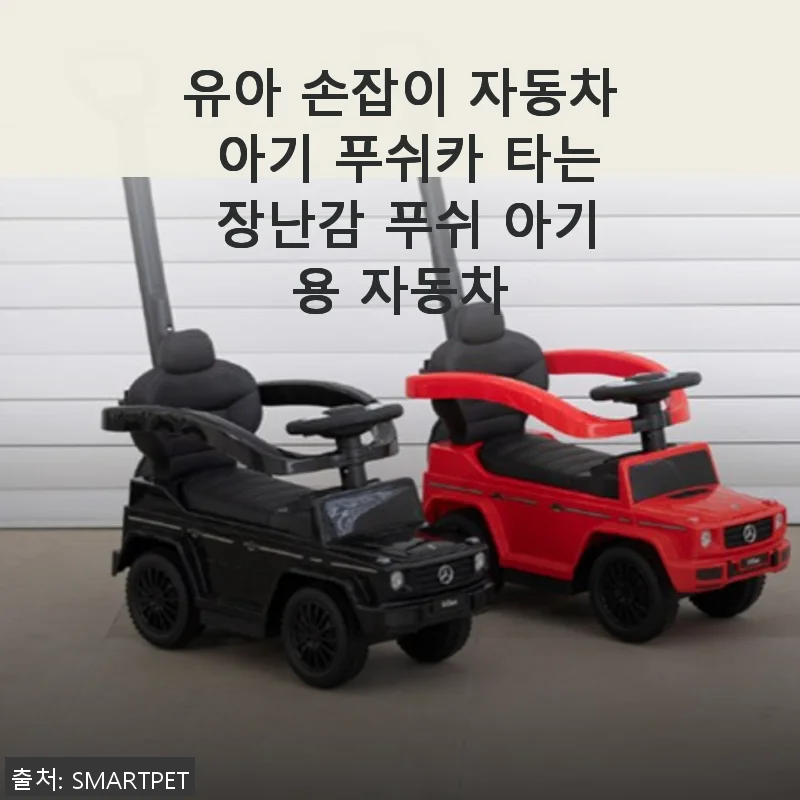 유아 손잡이 자동차 아기 푸쉬카 사용후기, 우리 아이 첫 붕붕이 체험기