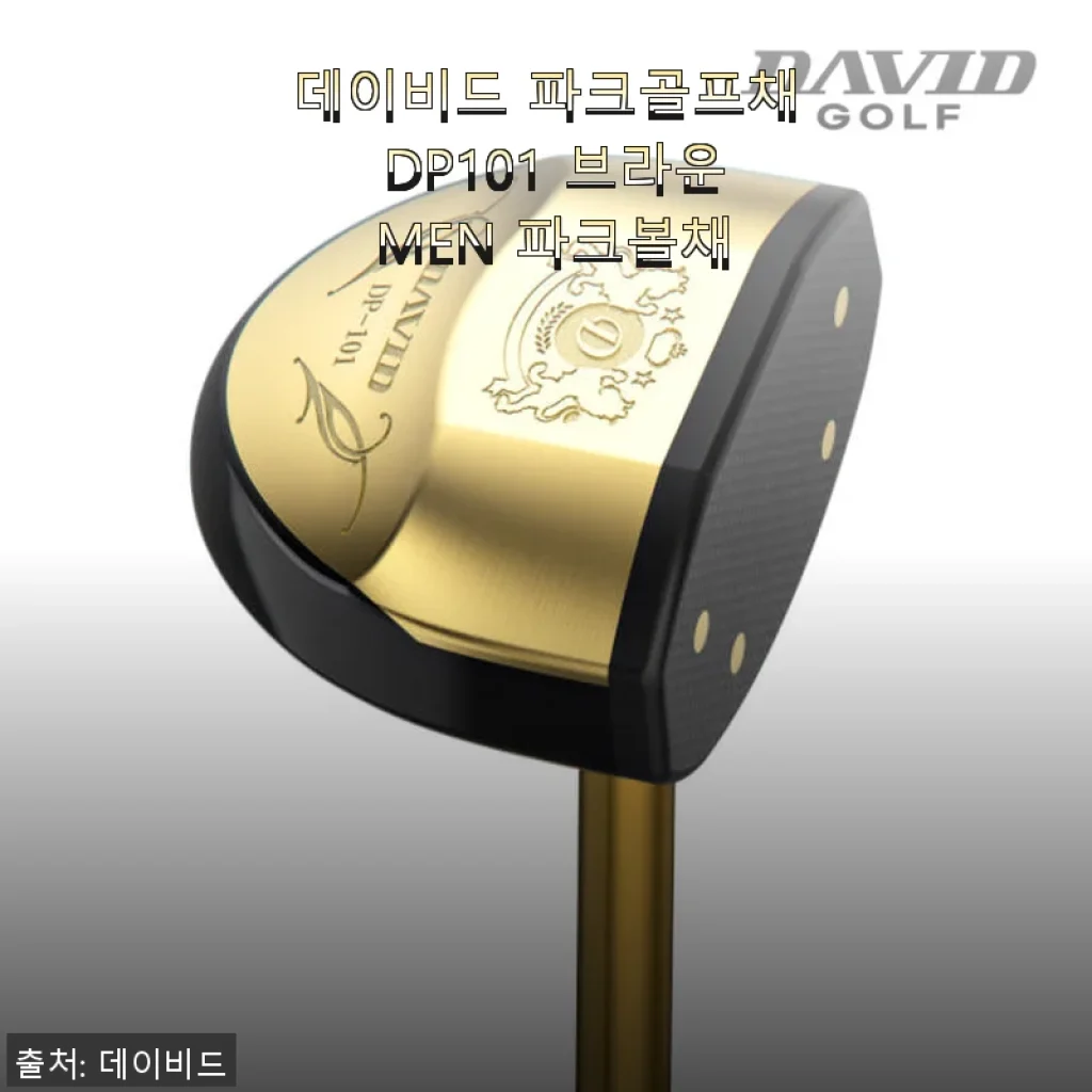 데이비드 파크골프채 DP101 브라운 MEN 사용 후기와 제품 소개