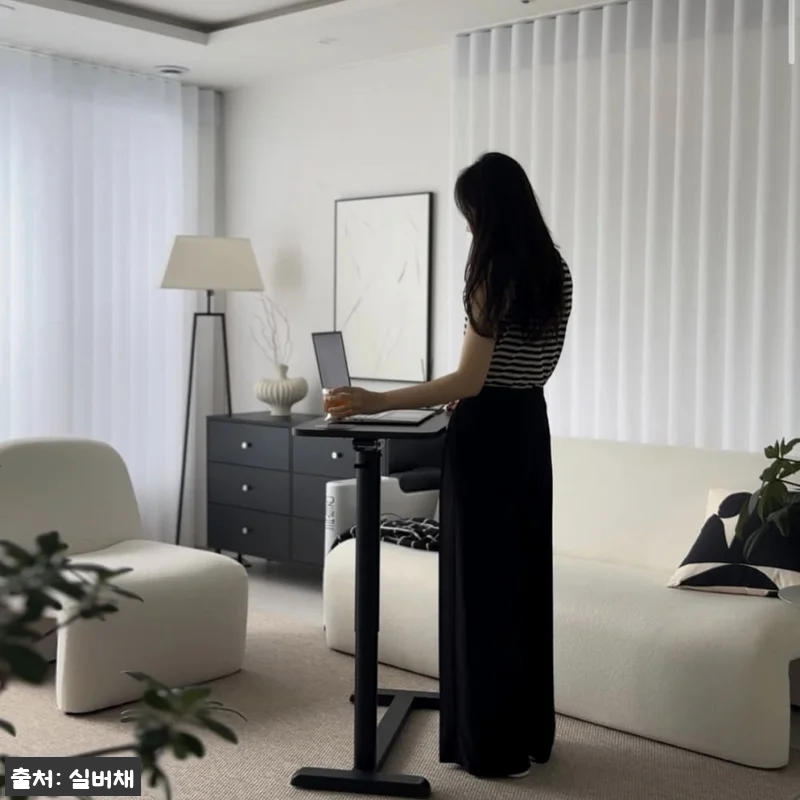 실버채 높이조절 접이식 이동식 소파 관련 이미지 1