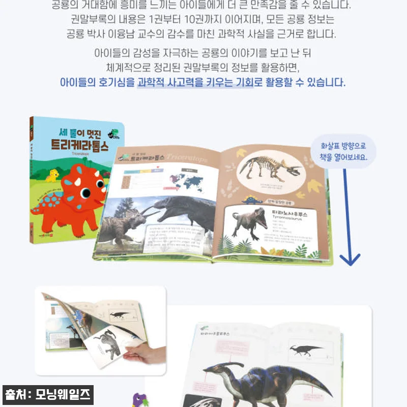쿵쿵별 다이노 10권 세트 사용후기 관련 이미지 2