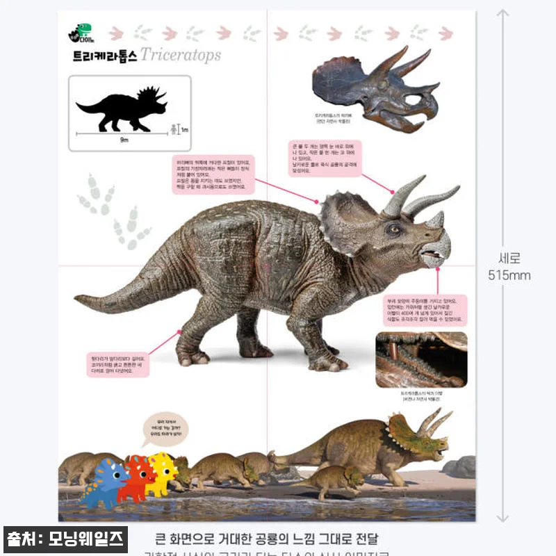 쿵쿵별 다이노 10권 세트 사용후기 관련 이미지 3