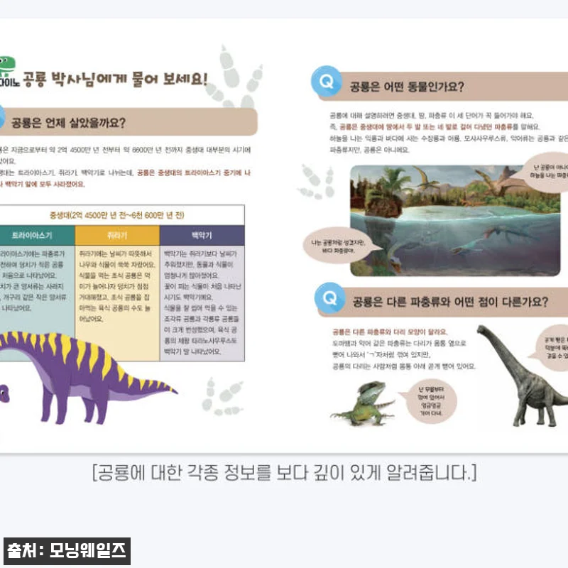 쿵쿵별 다이노 10권 세트 사용후기 관련 이미지 5