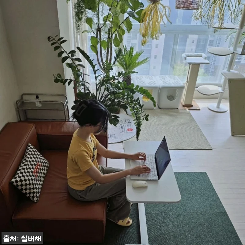 실버채 높이조절 접이식 이동식 소파 관련 이미지 6