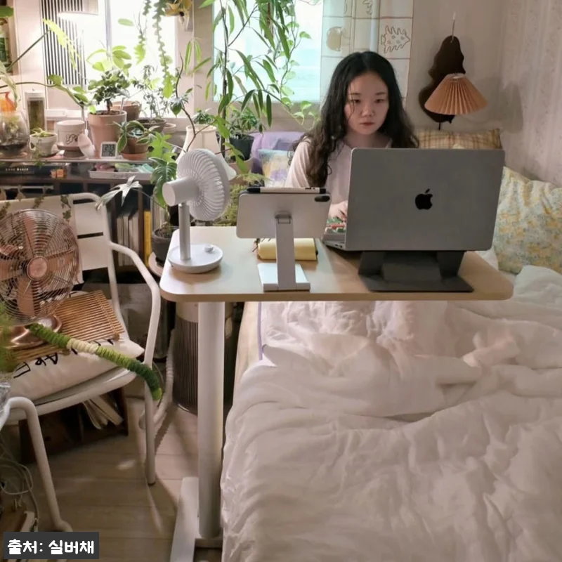 실버채 높이조절 접이식 이동식 소파 관련 이미지 9