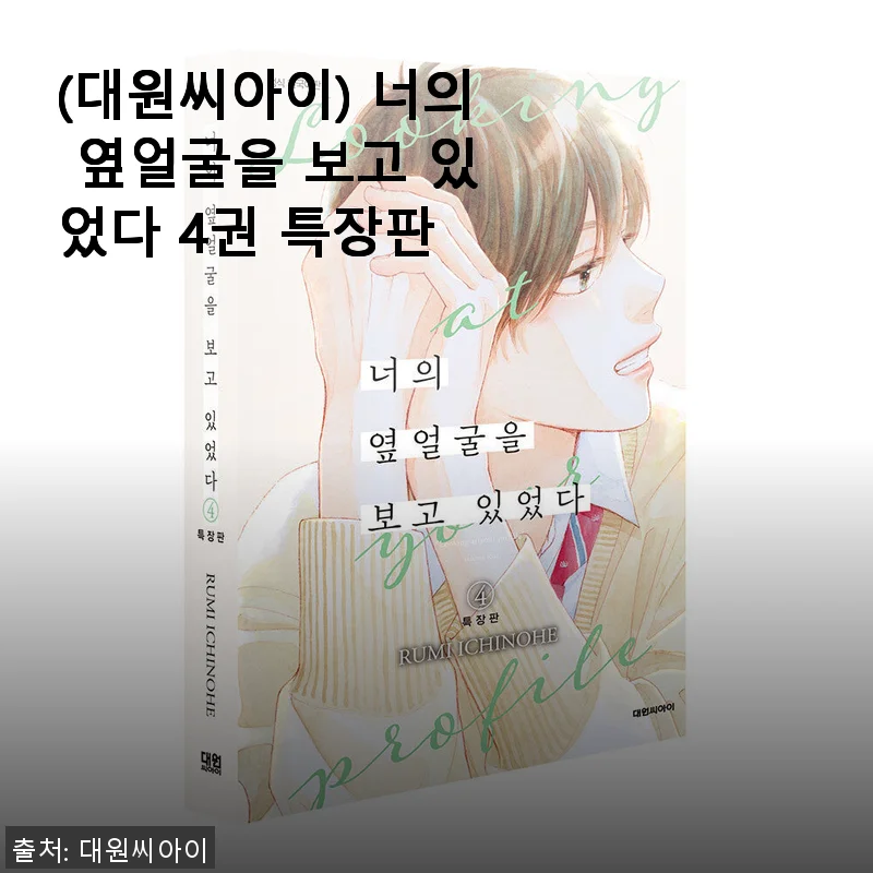 대원씨아이 '너의 옆얼굴을 보고 있었다 4권 특장판' 솔직 사용후기