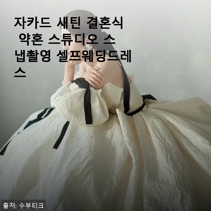 자카드 새틴 결혼식 약혼 스튜디오 스냅촬영 셀프웨딩드레스 사용후기