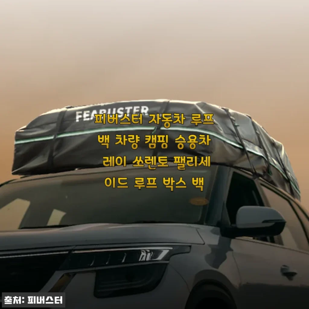 피버스터 자동차 루프백 사용후기 - 캠핑 준비가 즐거워진 비결