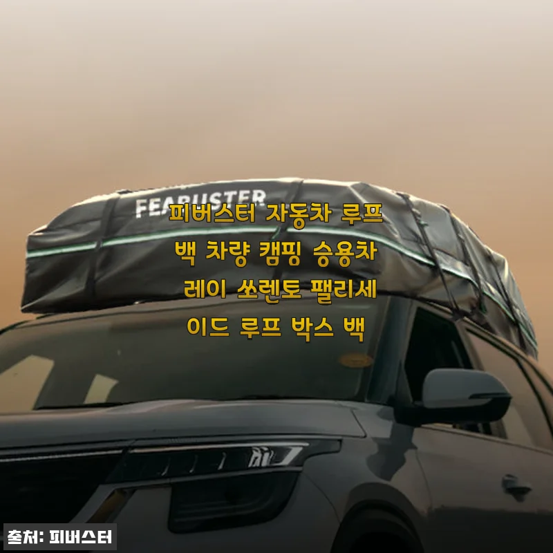 피버스터 자동차 루프백 사용후기 - 캠핑 준비가 즐거워진 비결
