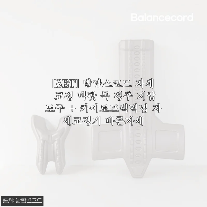 [SET] 발란스코드 자세 교정 넥팟 & 카이로프랙틱냅 사용후기