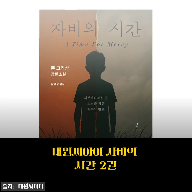 대원씨아이 자비의 시간 2권 구매후기: 감성 가득한 이야기 속으로
