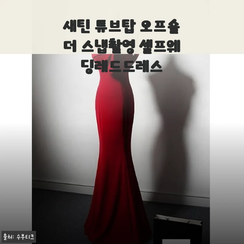 새틴 튜브탑 오프숄더 스냅촬영 셀프웨딩레드드레스 사용후기