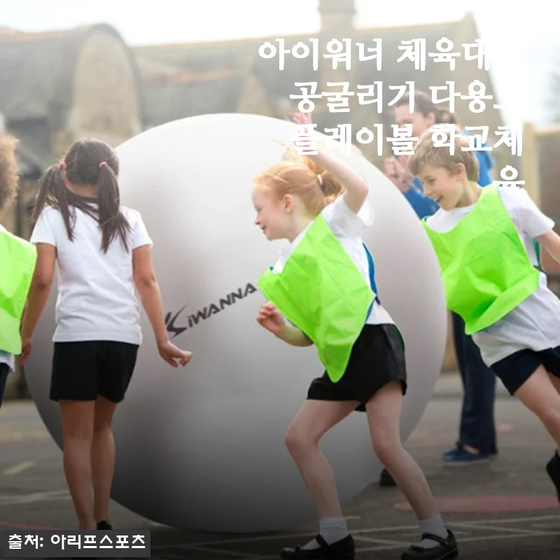 아이워너 체육대회 공굴리기 다용도 플레이볼 사용후기