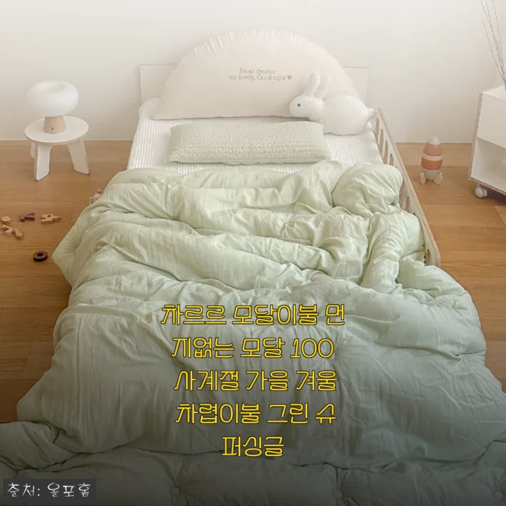 차르르 모달이불 먼지없는 모달 100% 사계절 가을 겨울 차렵이불 그린 슈퍼싱글 사용후기