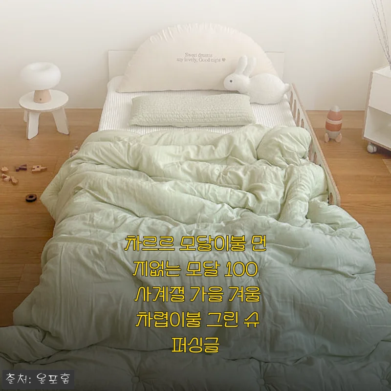 차르르 모달이불 먼지없는 모달 100% 사계절 가을 겨울 차렵이불 그린 슈퍼싱글 사용후기