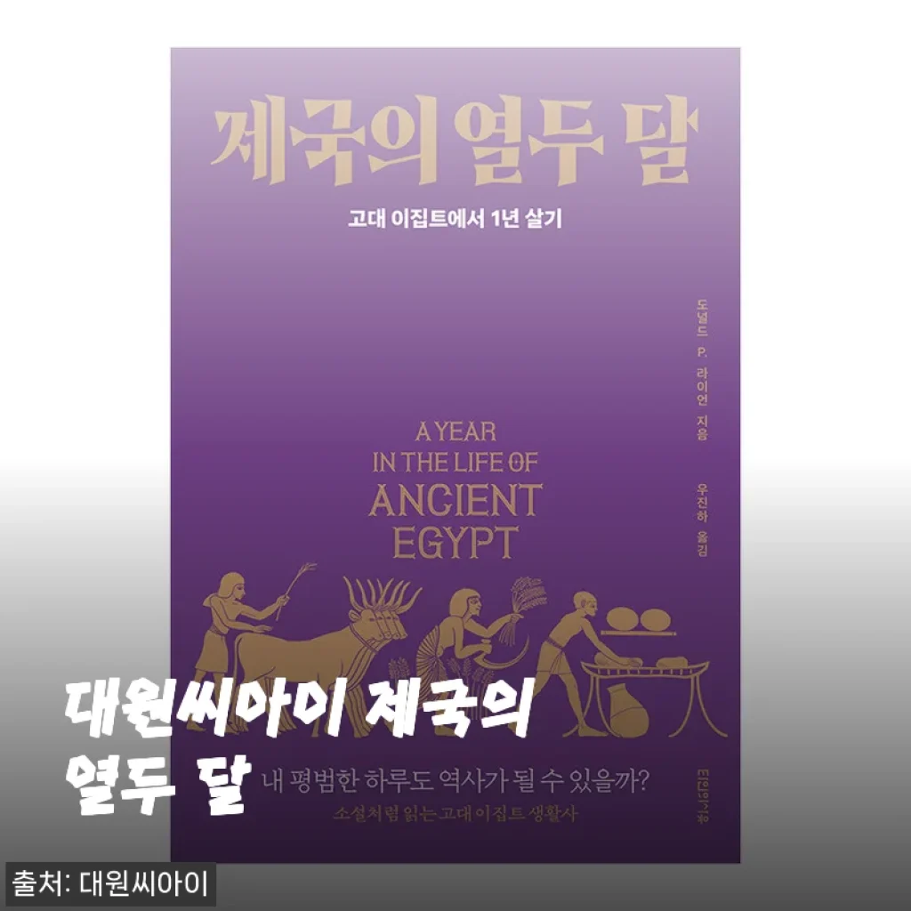 대원씨아이 제국의 열두 달, 직접 사용해 본 생생한 후기