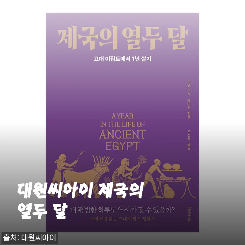 대원씨아이 제국의 열두 달, 직접 사용해 본 생생한 후기