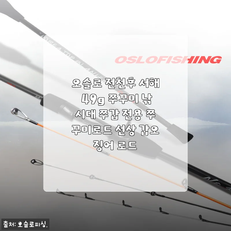 오슬로 전천후 서해 49g 쭈꾸미 낚시대 사용후기: 가볍고 감도 좋은 쭈꾸미 로드