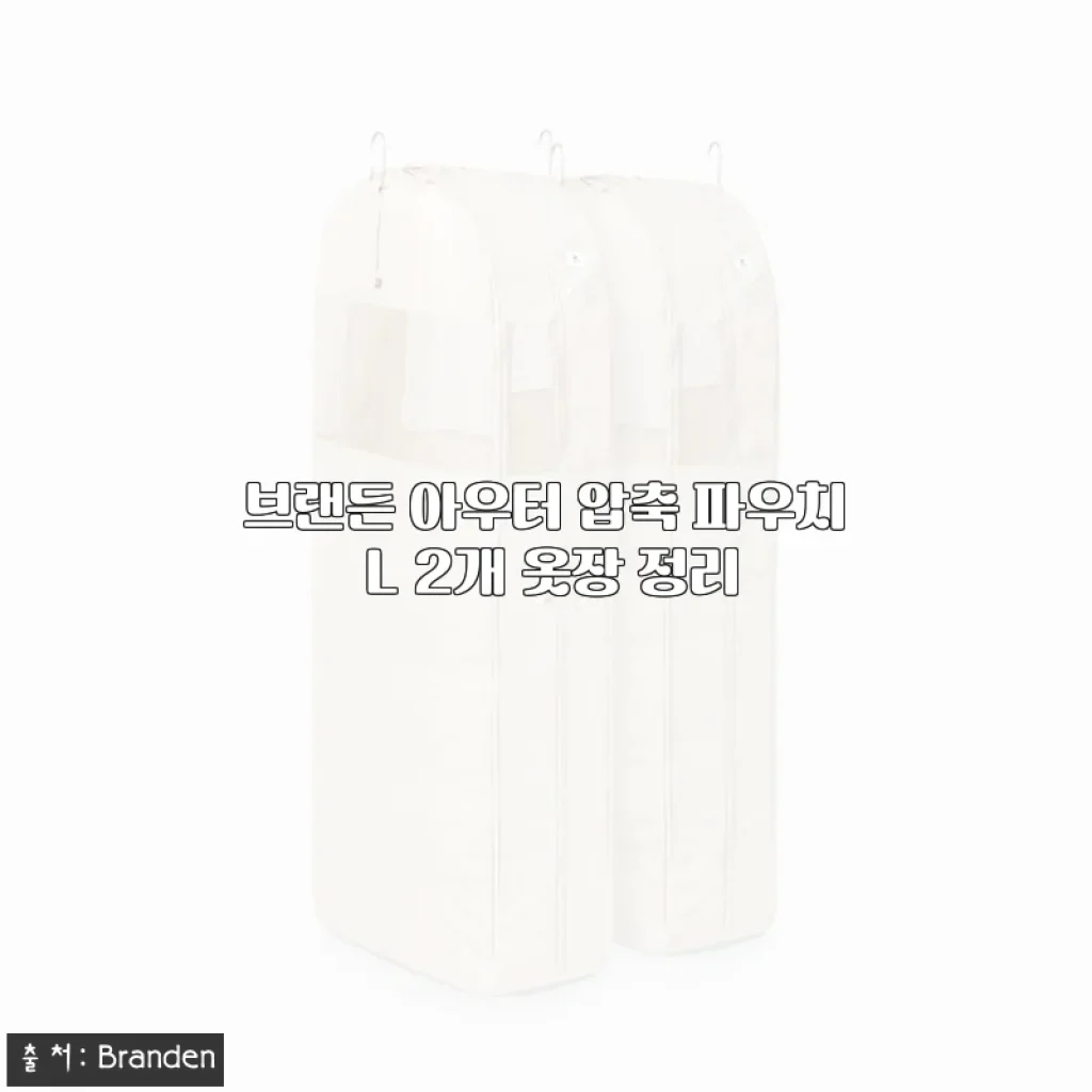 브랜든 아우터 압축 파우치 L 2개 사용후기, 겨울옷 정리에 딱 맞는 선택