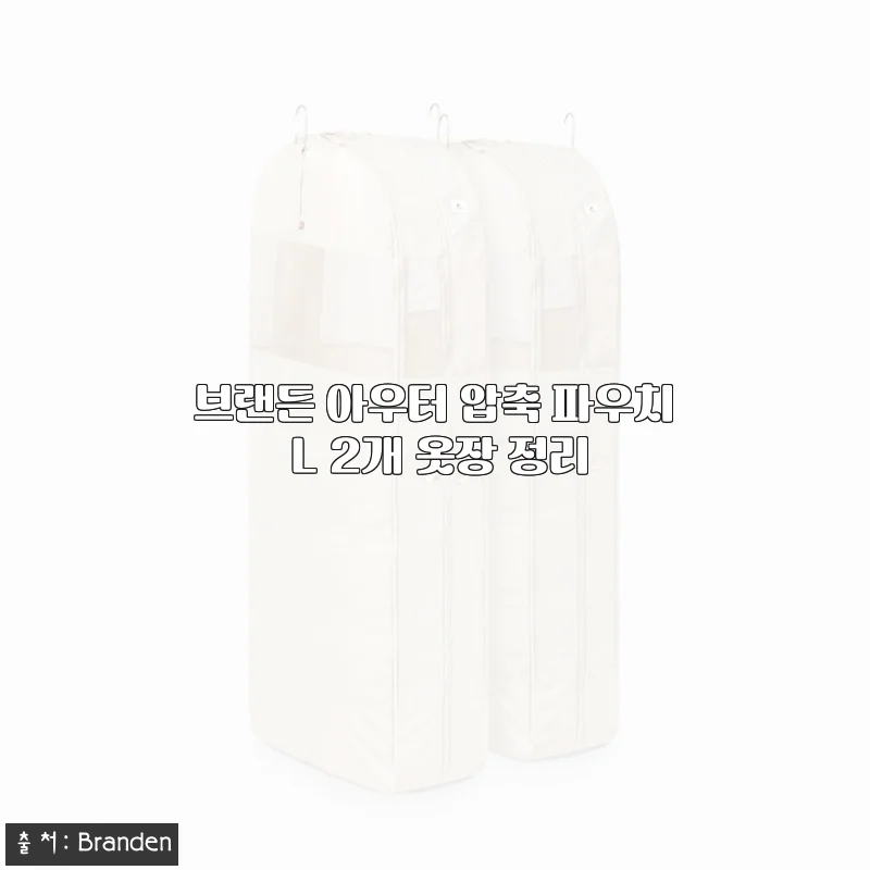 브랜든 아우터 압축 파우치 L 2개 사용후기, 겨울옷 정리에 딱 맞는 선택