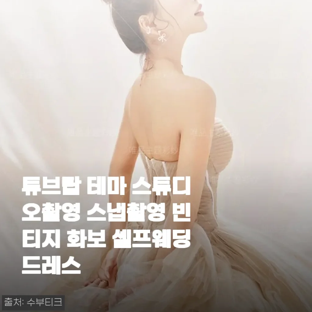 튜브탑 테마 스튜디오촬영 스냅촬영 빈티지 화보 셀프웨딩드레스 사용 후기
