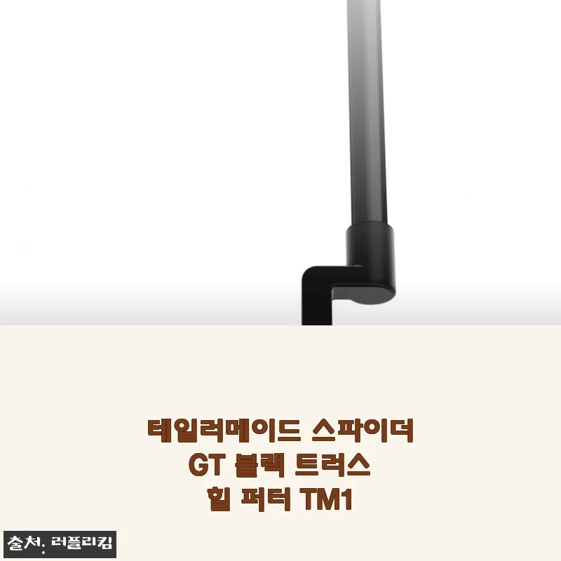 테일러메이드 스파이더 GT 블랙 트러스 힐 퍼터 TM1 사용후기 및 상세 소개