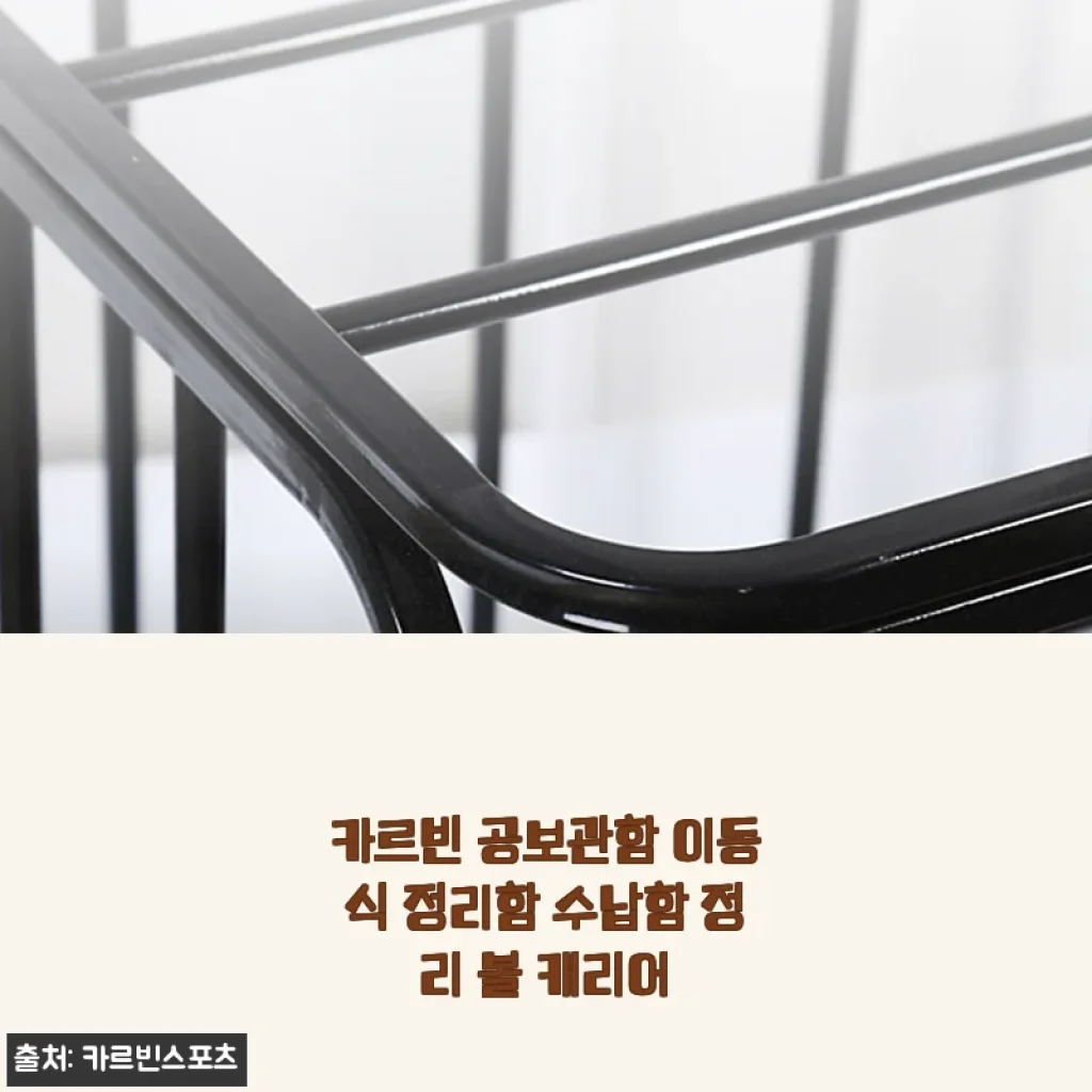 카르빈 공보관함 이동식 정리함 수납함 사용후기 - 넉넉한 공간과 편리한 이동성의 만남