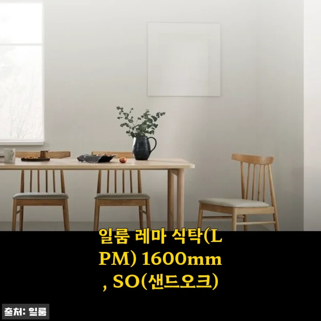 일룸 레마 식탁(LPM) 1600mm SO(샌드오크) 사용후기