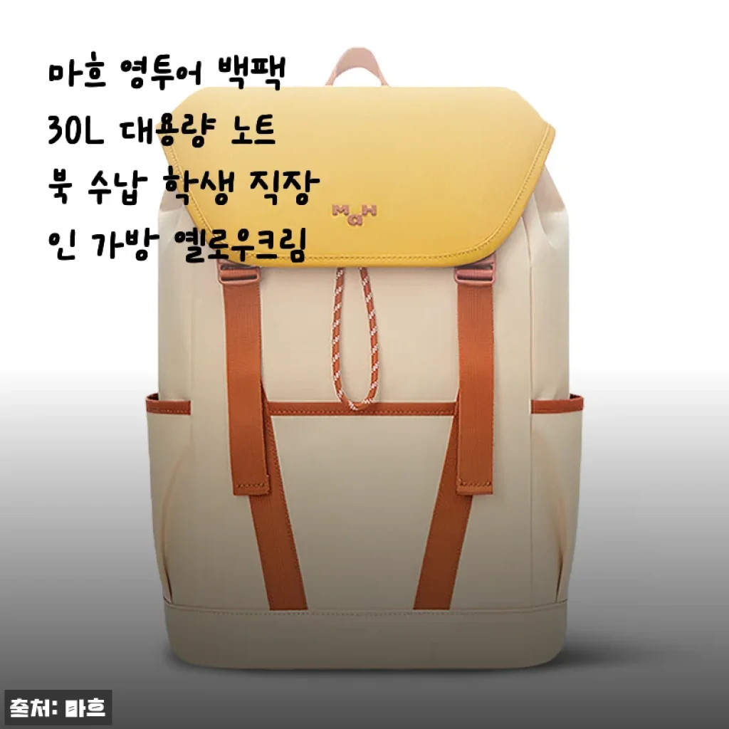 마흐 영투어 백팩 30L 대용량 옐로우크림 사용 후기