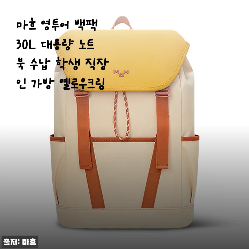 마흐 영투어 백팩 30L 대용량 옐로우크림 사용 후기
