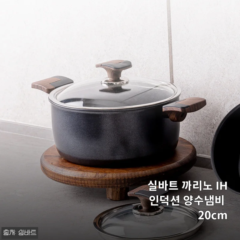 실바트 까리노 IH 인덕션 양수냄비 20cm, 직접 사용해본 생생한 후기