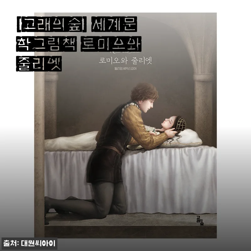 고래의숲 세계문학그림책 로미오와 줄리엣 사용후기