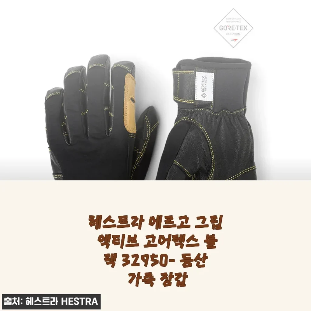 가을·겨울 산행에 딱! 헤스트라 에르고 그립 액티브 고어텍스 블랙 사용 후기