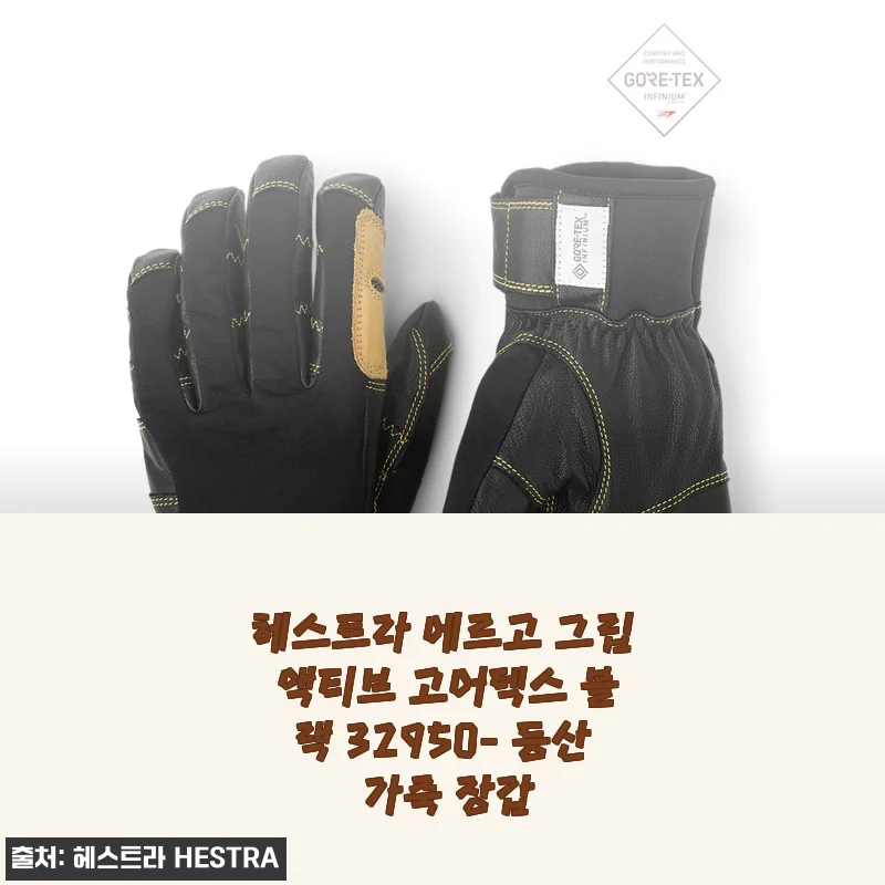 가을·겨울 산행에 딱! 헤스트라 에르고 그립 액티브 고어텍스 블랙 사용 후기