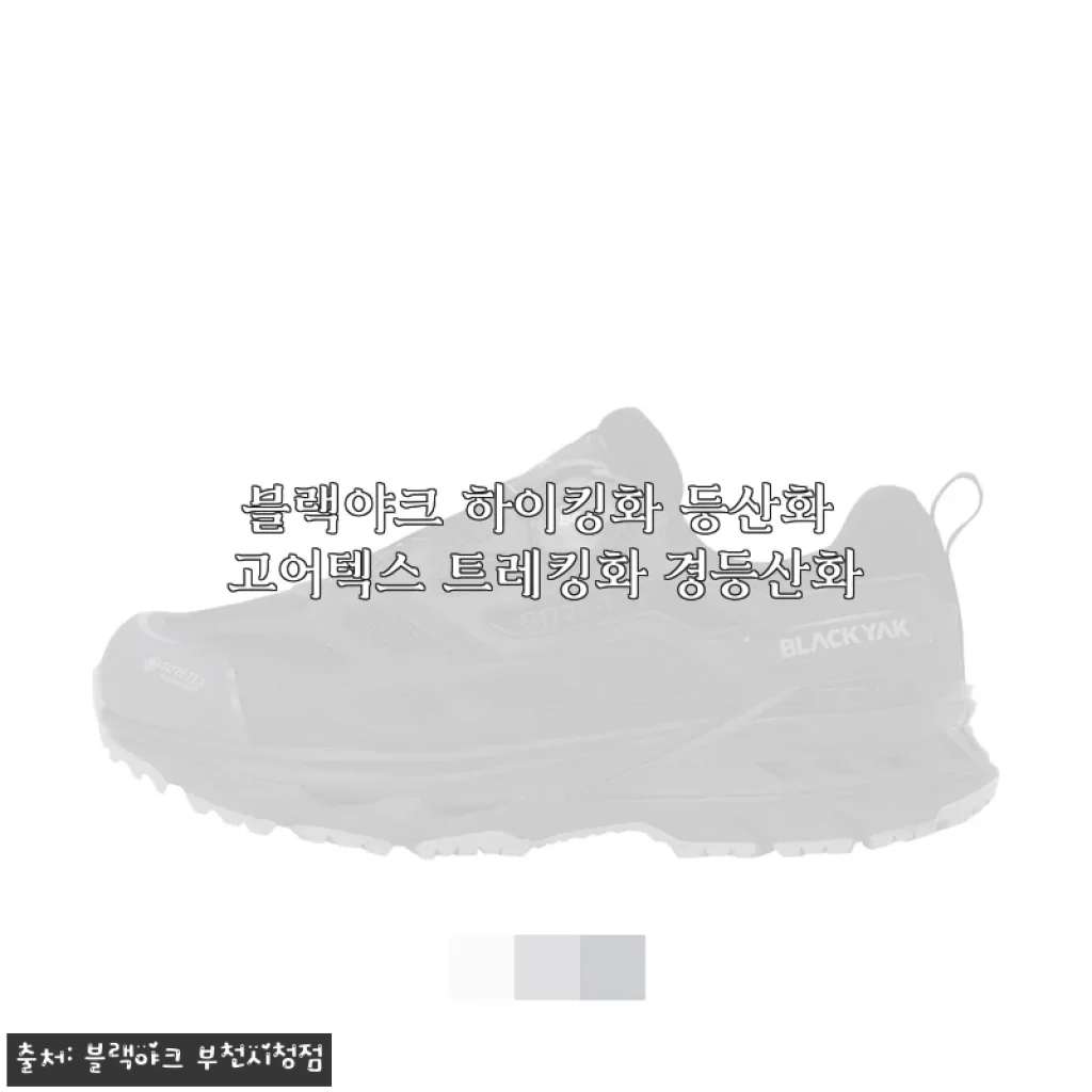 봄 등산엔 이게 딱, 블랙야크 고어텍스 하이킹화 3주 신고 느낀 진짜 장점