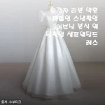 셀프 웨딩촬영용 오간자 리본 드레스, 약혼식부터 본식까지 다 입은 솔직 후기