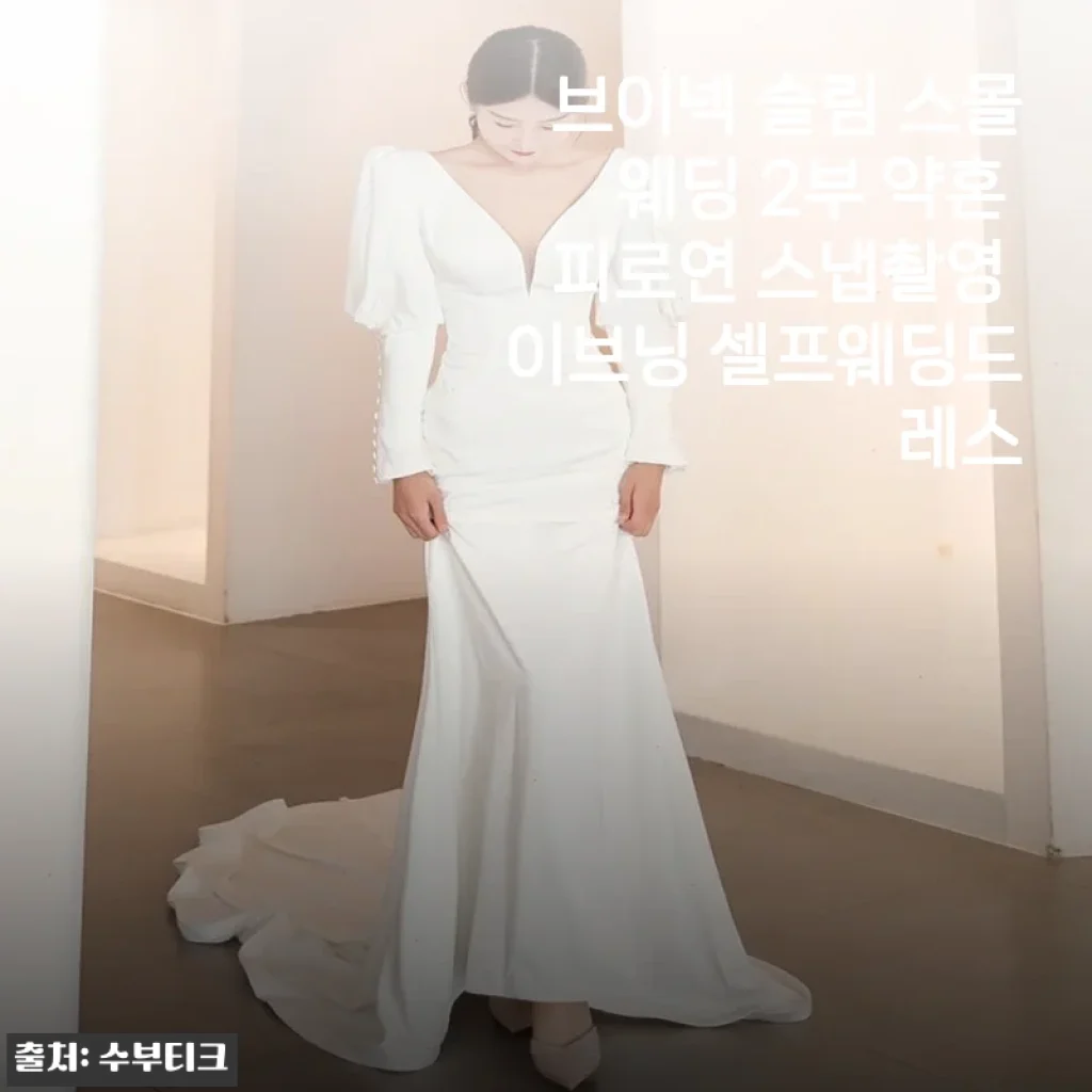 브이넥 슬림 스몰웨딩드레스로 완성한 셀프 약혼식 & 스냅촬영 후기