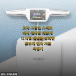 5월 결혼식 앞두고 오아 그립인 스마트 체중계로 다이어트 시작한 후기