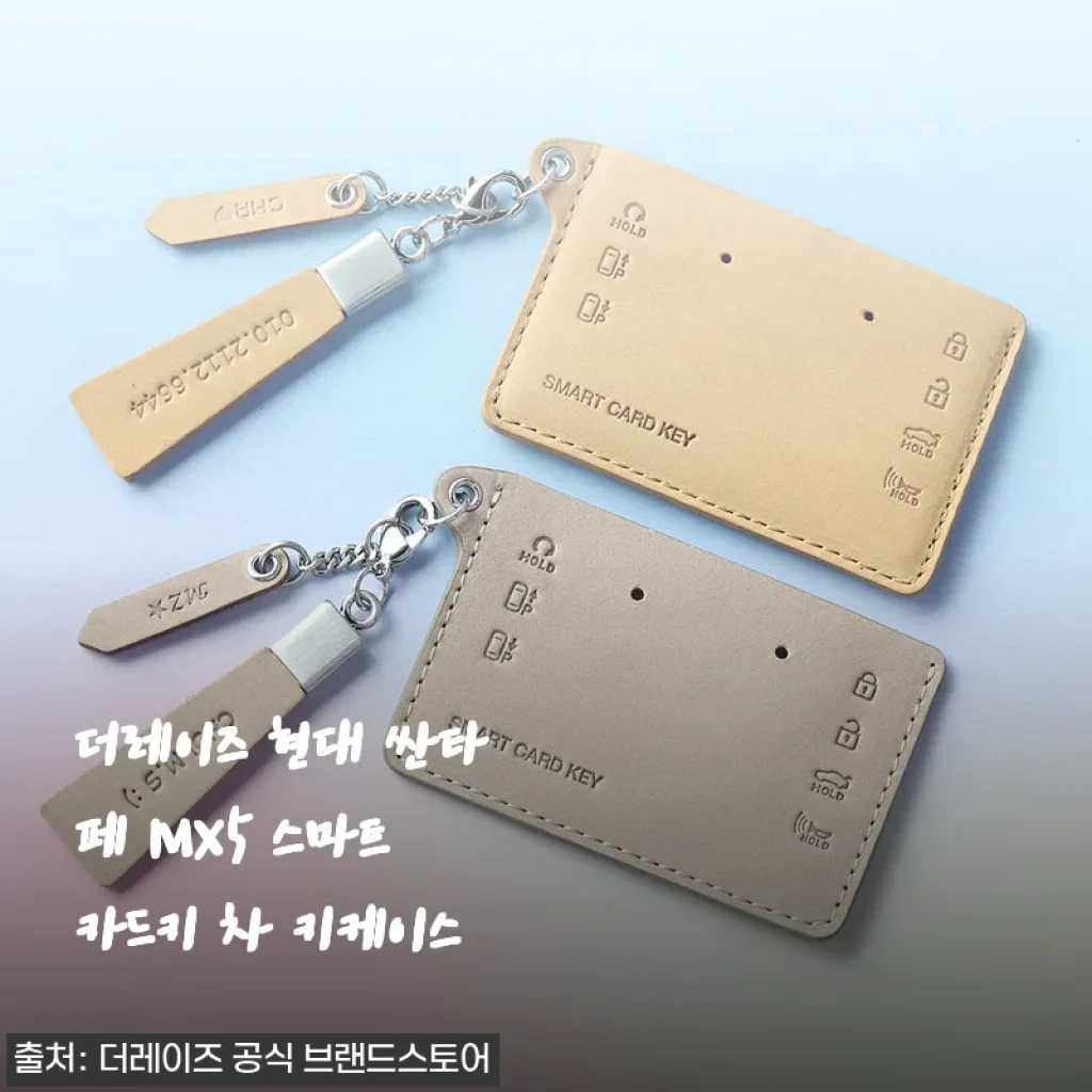 신형 싼타페 카드키 케이스 갈아타기, 더레이즈 MX5 한 달 써보니 이런 매력이