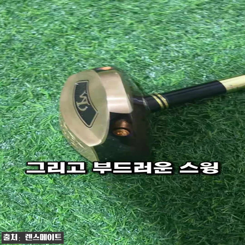 렌스메이트 프리미엄 5스타 파크골프채 관련 이미지 1