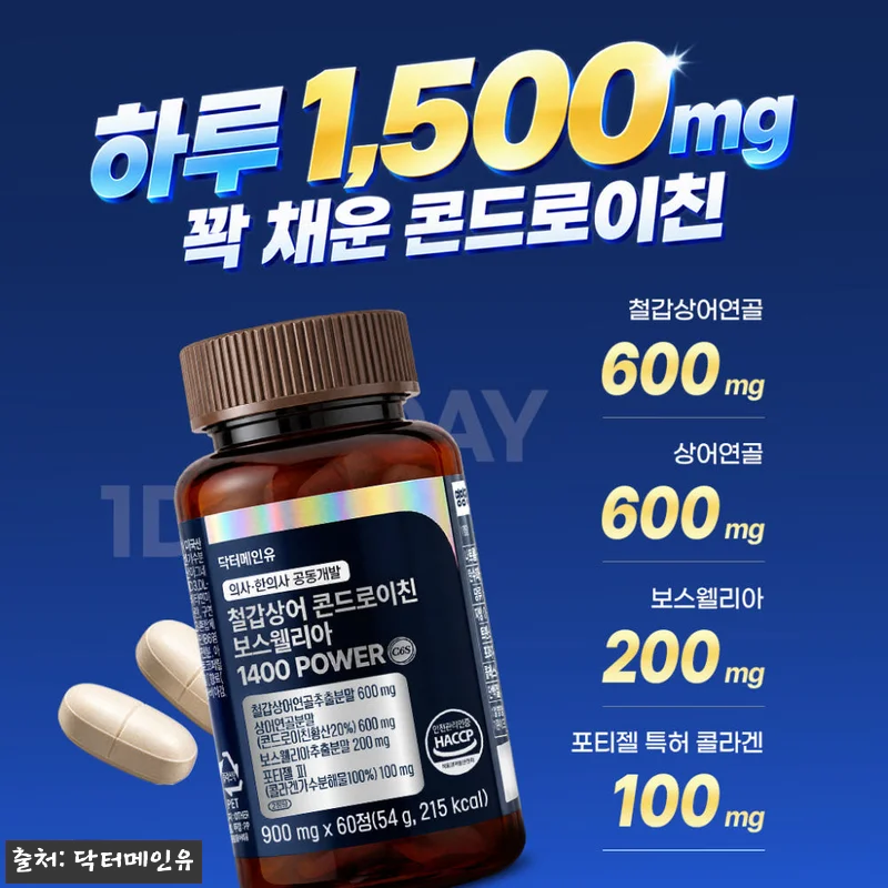 철갑상어 콘드로이친 보스웰리아 140 관련 이미지 1