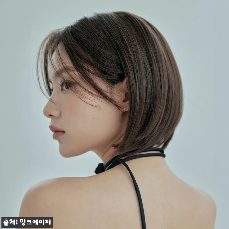 핑크에이지 세미 수제 통가발 브이컷 니콜, 여름 똑단발 변신템으로 눈여겨본 솔직 정리 13 핑크에이지 세미 수제 통가발 브이컷 관련 이미지 2